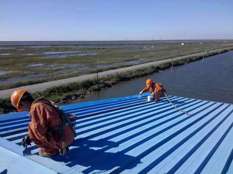 莒南彩钢瓦屋面防腐翻新